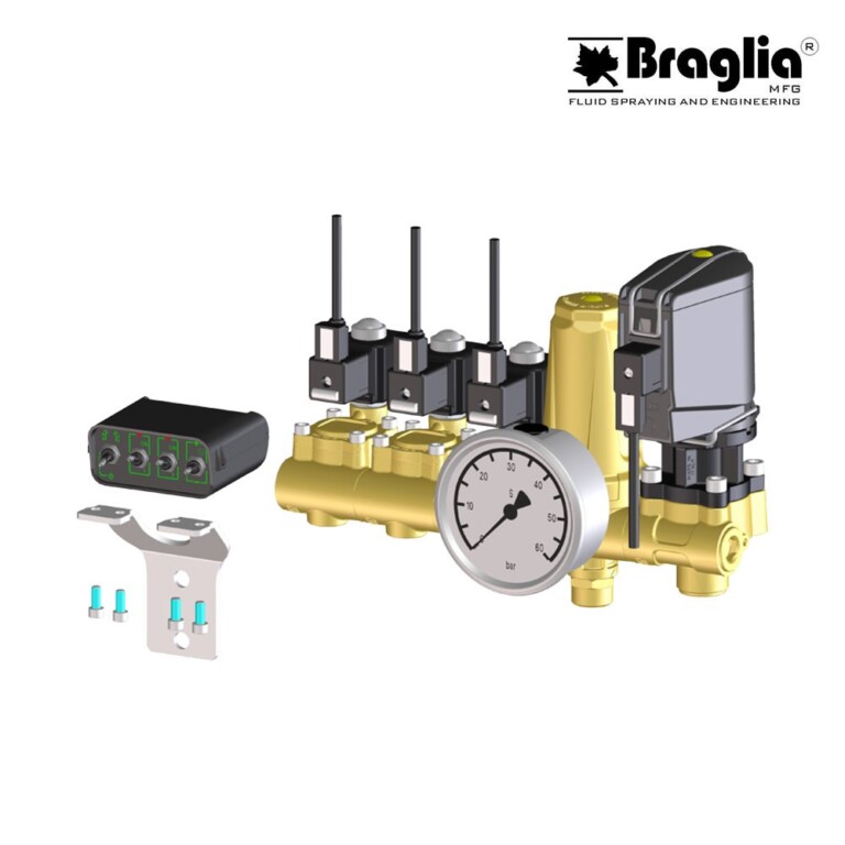 Groupes de contrôle BRAGLIA